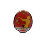pin's tennis de table