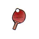 pin's tennis de table