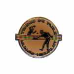 pin's tennis de table